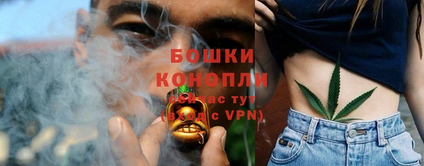эйфоретик Баксан