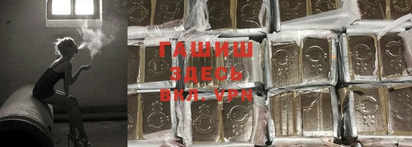 эйфоретик Баксан